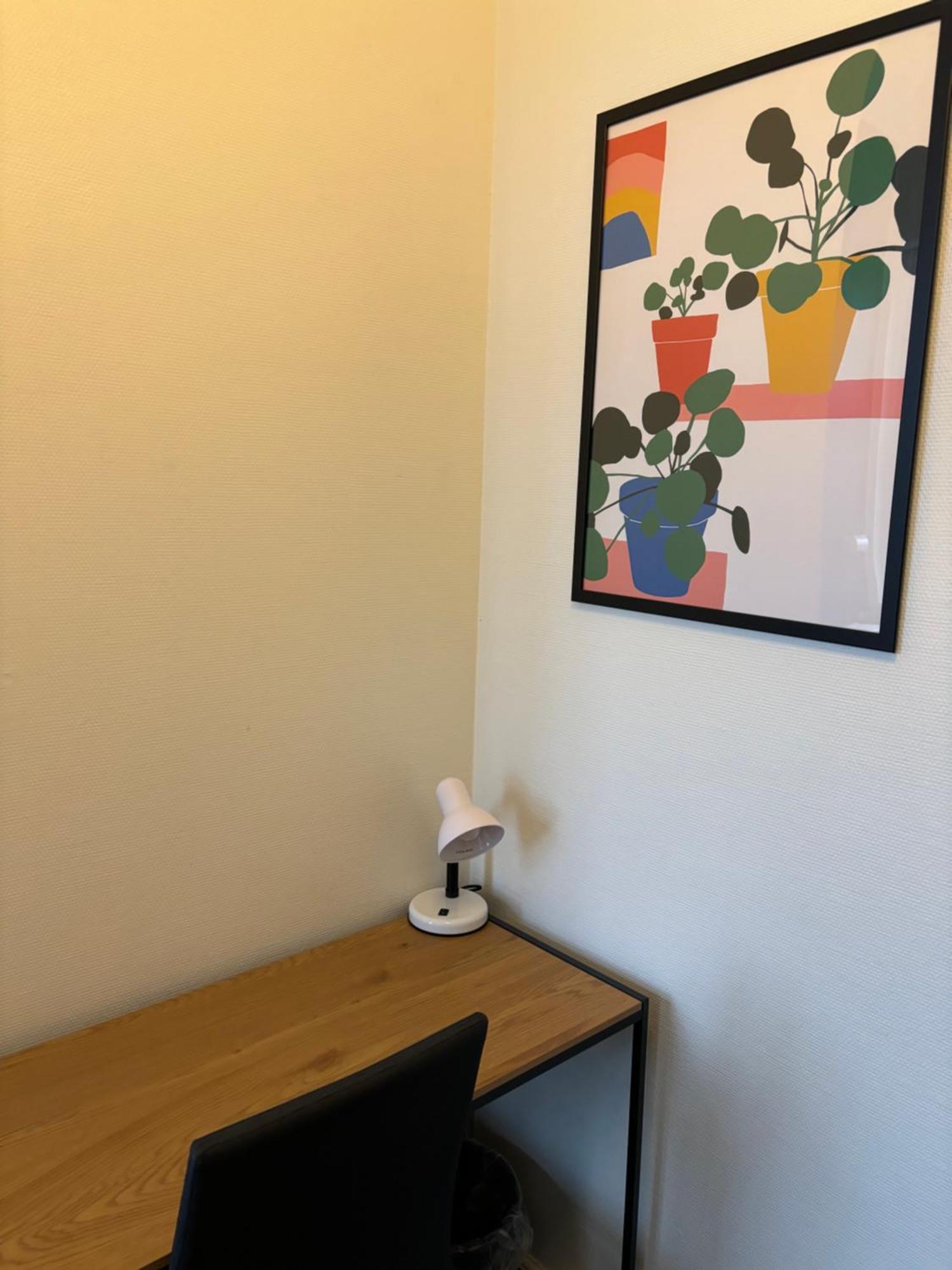 Danhostel Odense City Zewnętrze zdjęcie A Google Home Hub